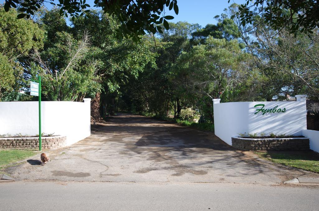 Fynbos Guest House Riversdale Exterior photo